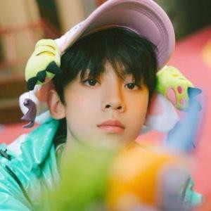 TF家族左航