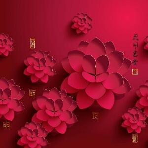 夏沫