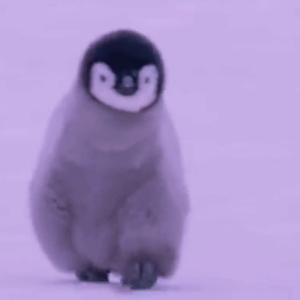 山水寺庙不知暖