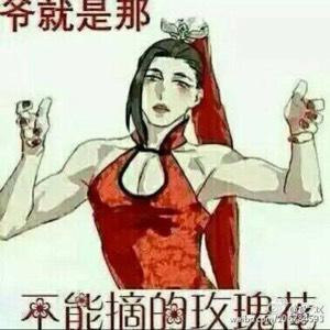 独孤九鸢
