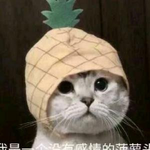 吃羊腿的买买提