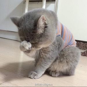 liu
