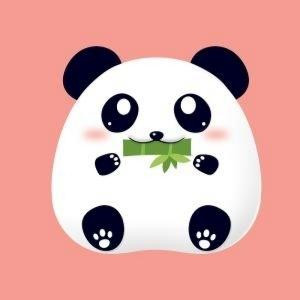 竹篱外的小黄花