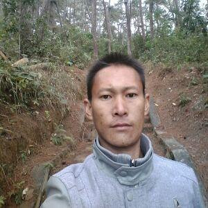 风流小书虫