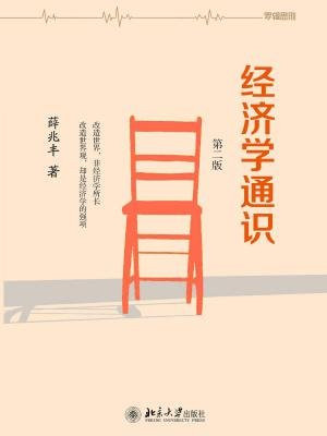 经济学通识(第二版)