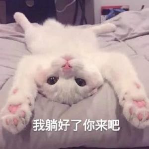柒月