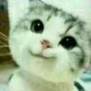 梦荨千年永不变