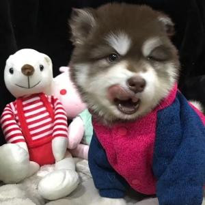 K先生