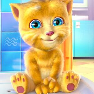 阳光总在风雨后