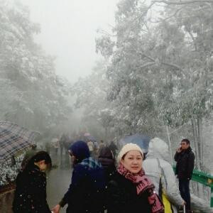 雪儿Xin