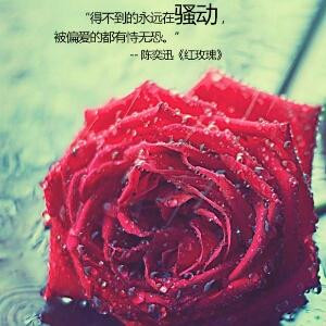 Stars丶叶枫