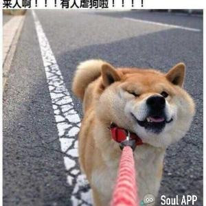 忘机