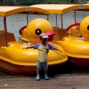 闲时无聊看看书