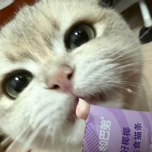 老子爱你