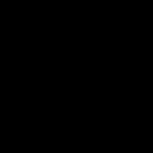 我的心