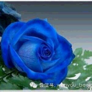 还是我