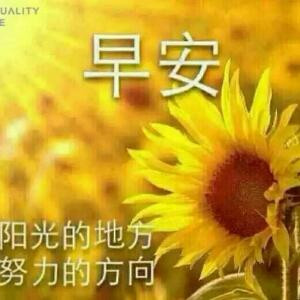 秃废迷离