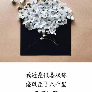 西瓜凉了半个夏