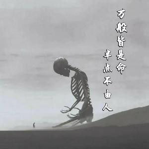 我的书城