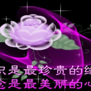 木木