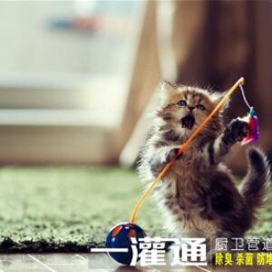 魑魅魍魉