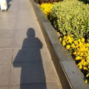 方简
