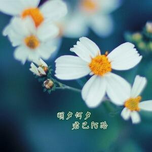 稀饭家族
