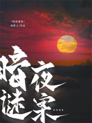 暗夜谜案