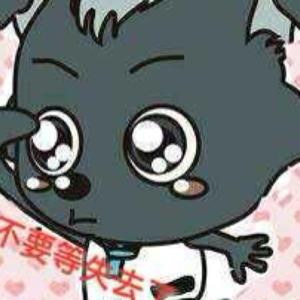 小灰灰