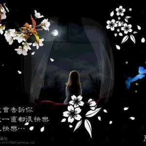 薰衣草的爱恋