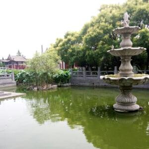 清浅柒柒fong