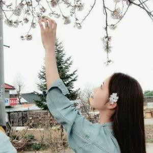 陪衬