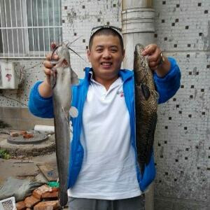 柏杨