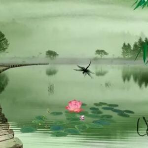 细君思梦