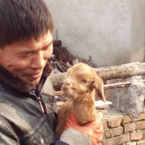 罗耍