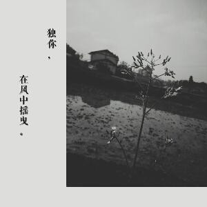 妄语