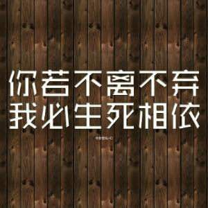 回望。。。