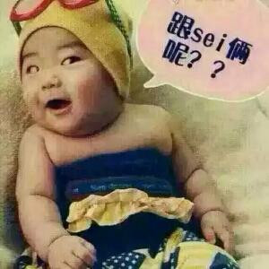 会飞的鱼