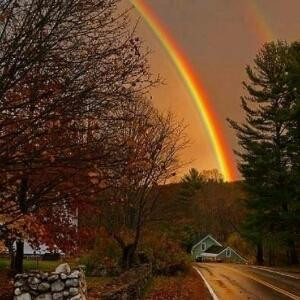 像小强一样活着