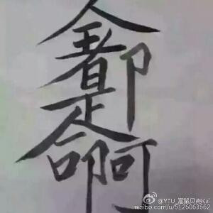 黑豹