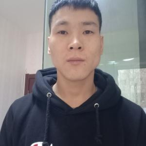 小树苗