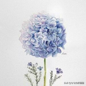 丨丶彩虹花朵灬
