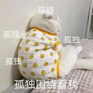 敷衍