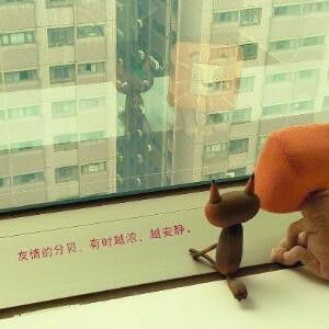 布丁