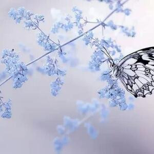 空白