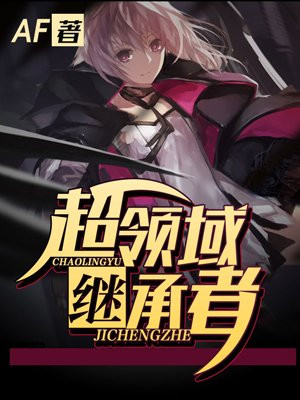 超领域继承者