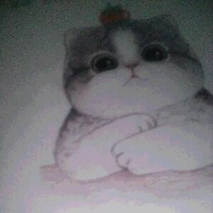 远离眉