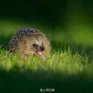 素年锦时