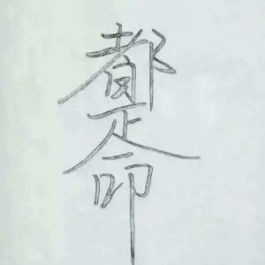 天卍命