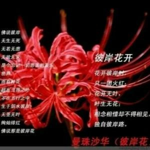 你财迷